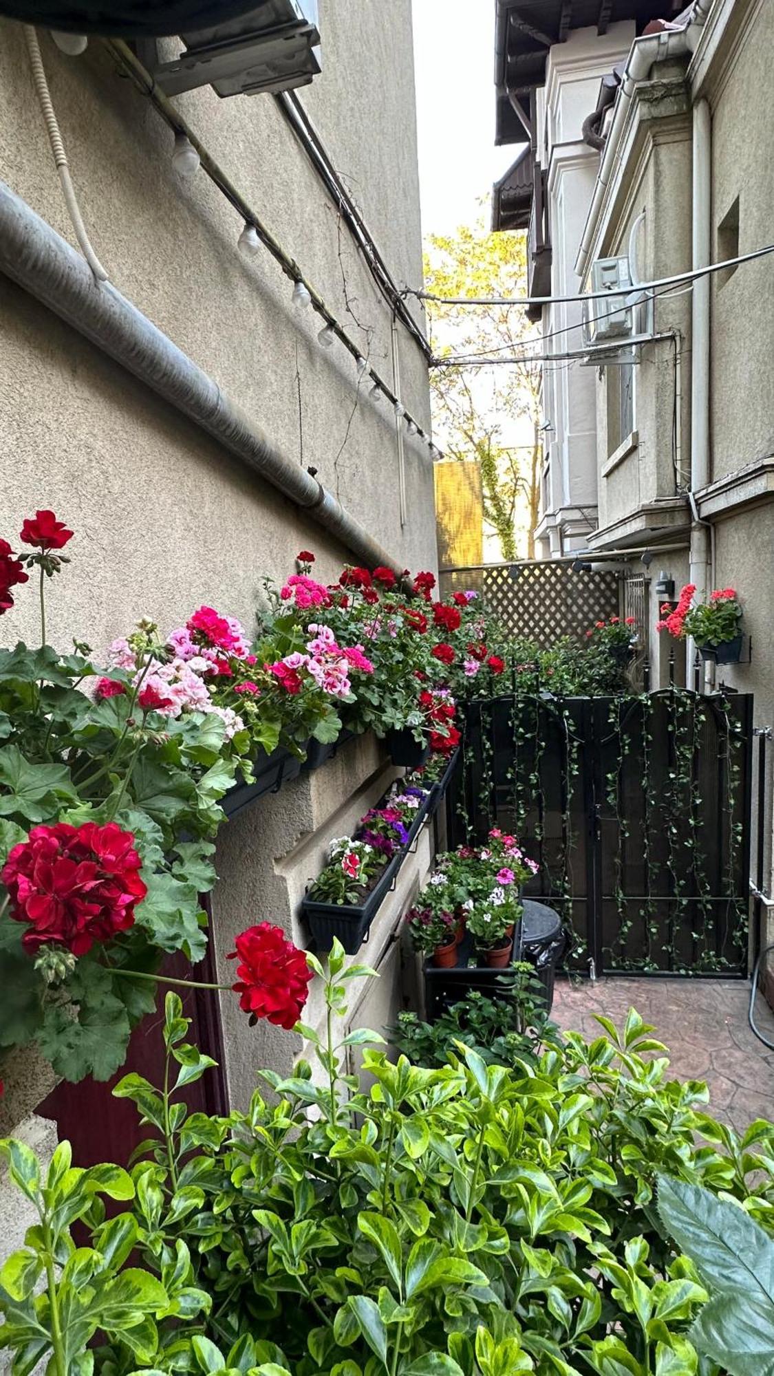 Casa De Povesti - Calea Victoriei
